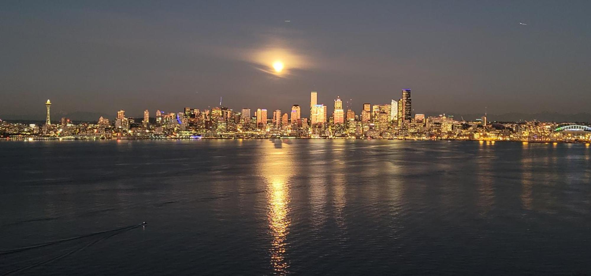 شقة 180 Degree, Unobstructed Bluff View! سياتل المظهر الخارجي الصورة