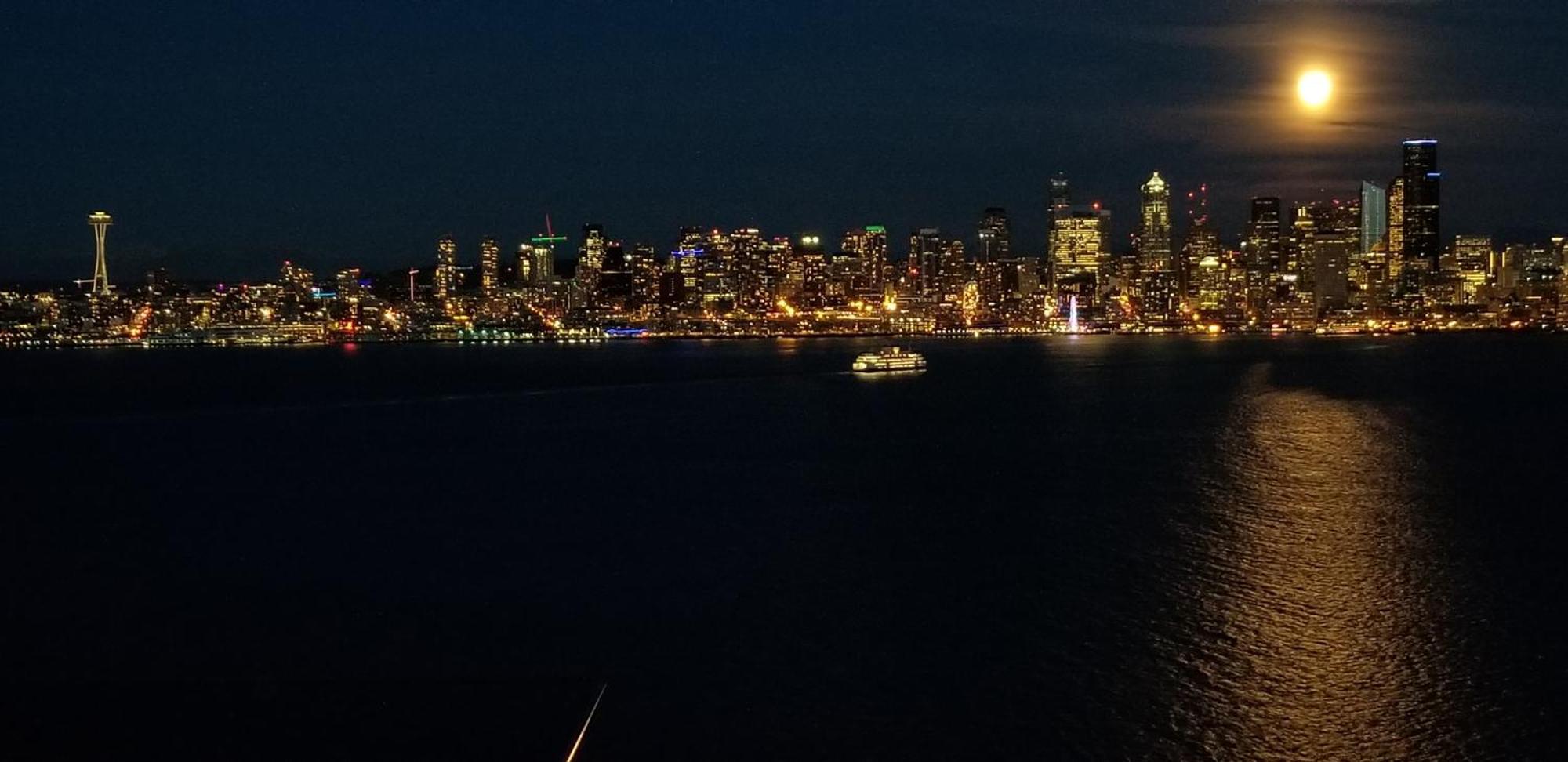 شقة 180 Degree, Unobstructed Bluff View! سياتل المظهر الخارجي الصورة